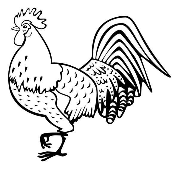Петух рисунок раскраска