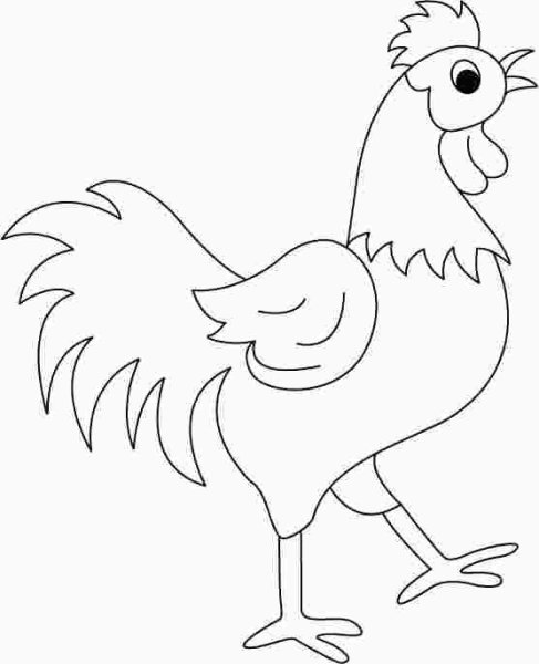 Петушок раскраска для малышей