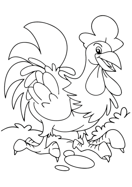 Петух черно белый