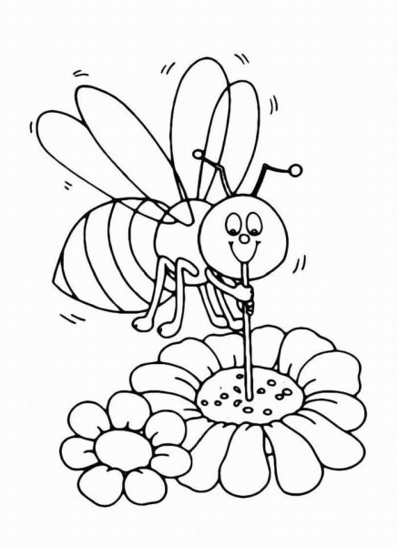 Раскраска пчёлка для детей