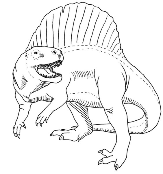 Раскраска динозавра Спинозавра