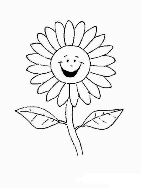 Ромашка раскраска