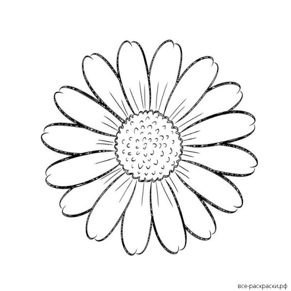 Ромашка раскраска