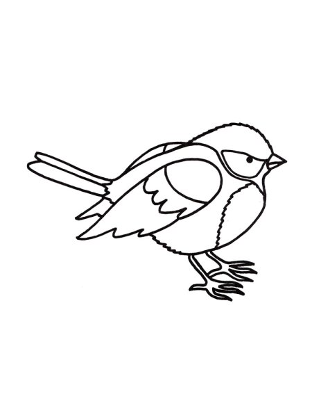 Синичка раскраска для детей