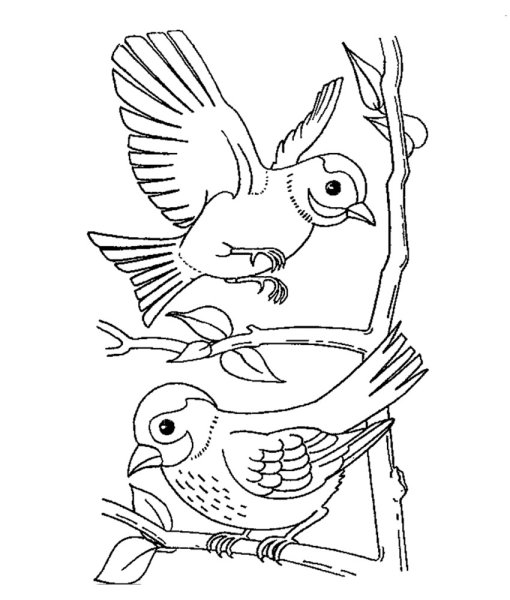 Снегирь раскраска