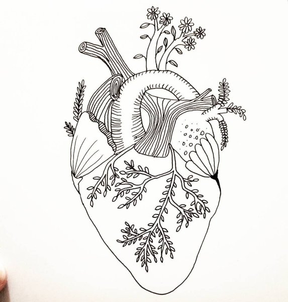 Эстетичные раскраски