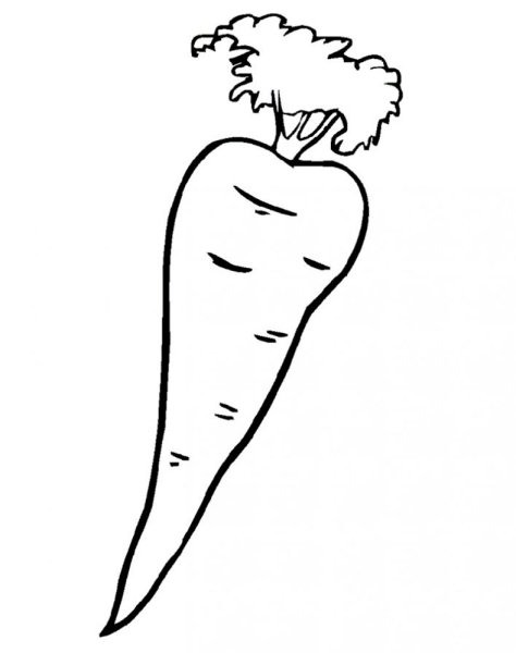 Морковь для раскрашивания для детей