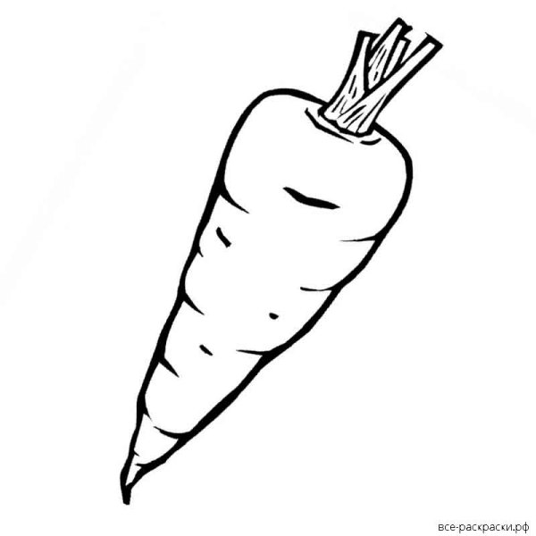 Морковка контур