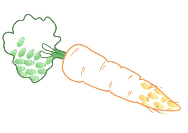 Морковь раскраска для детей