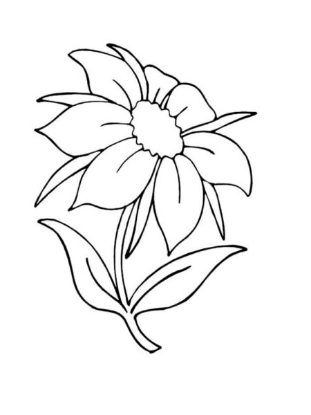 Цветик семицветик картинки для срисовки