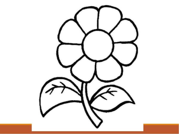 Разукрашки цветы для детей 3 лет