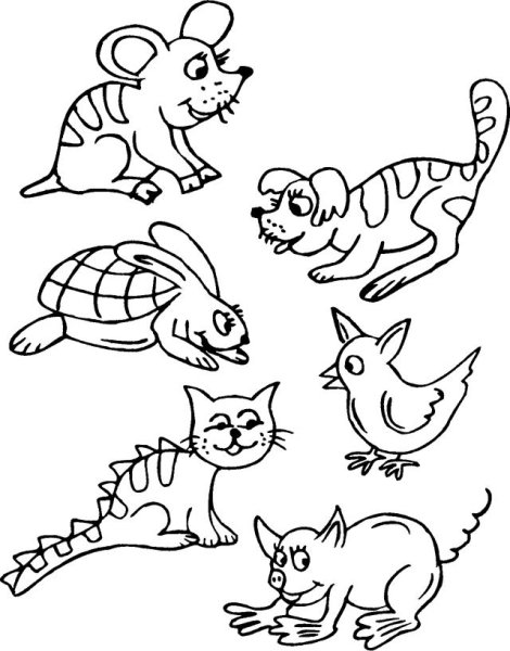 Чуковский к. и. "путаница"