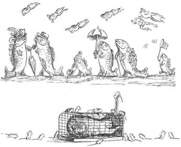 Раскраски по сказкам Чуковского путаница