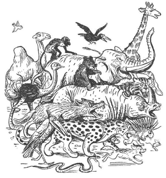 Путаница Чуковский раскраска