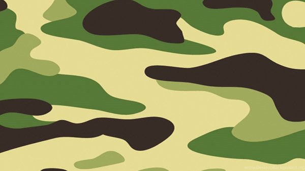 Цвет хаки цвет хаки камуфлированные