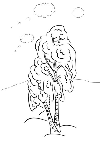 Дерево береза раскраска