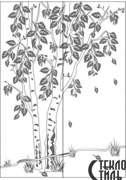 Береза раскраска