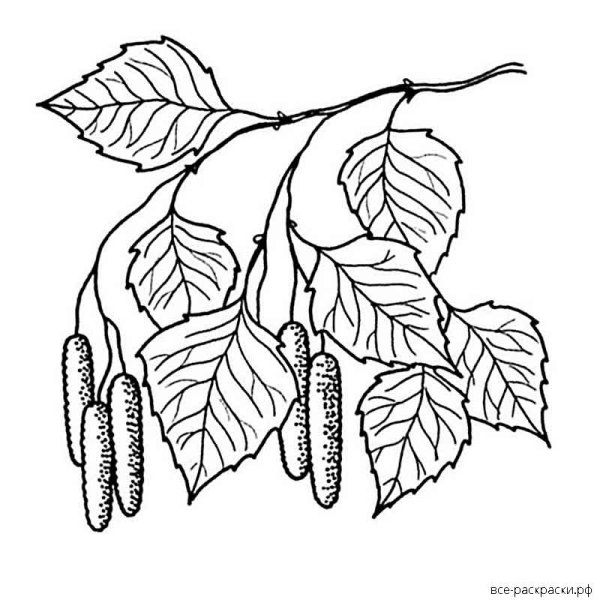 Весенний пейзаж набросок