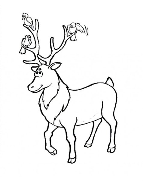 Олень рисунок карандашом