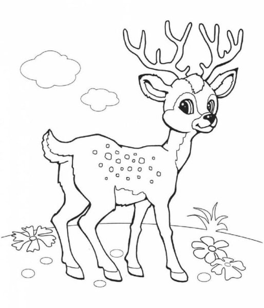 Олень раскраска