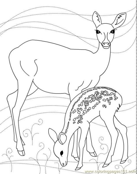 Олень раскраска для детей