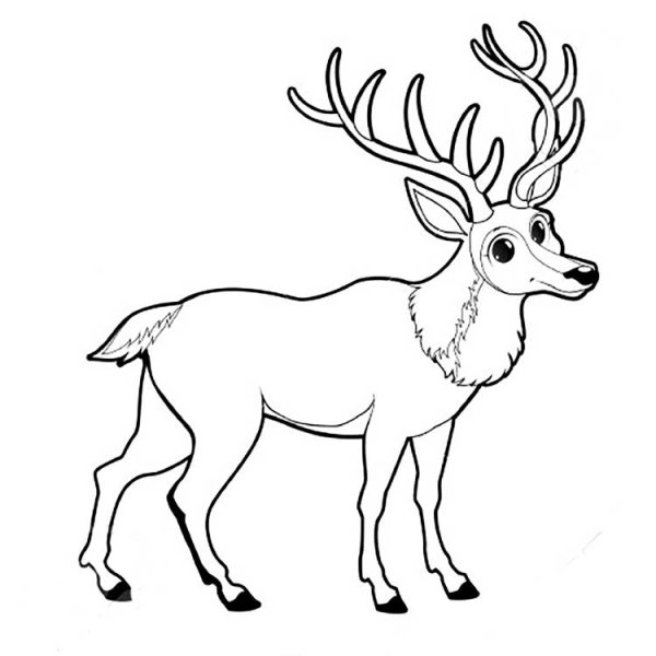 Олень рисунок раскраска