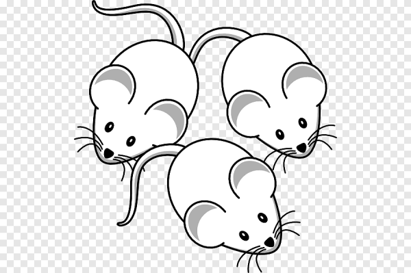 Раскраска мышка с сыром