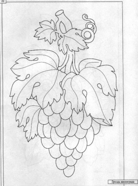 Пирография пирография