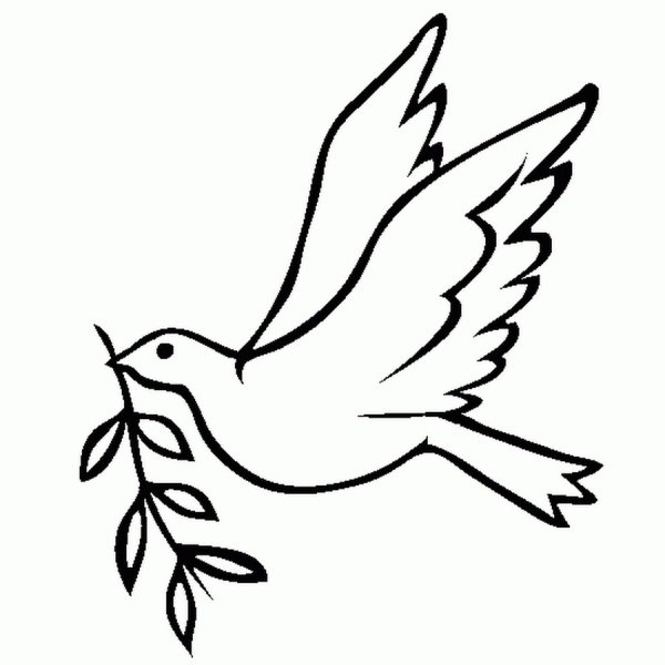 Раскраска мир