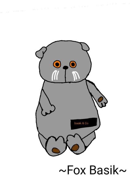 Раскраска кот Басик