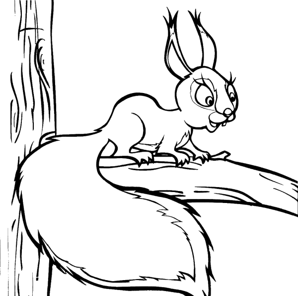 Раскраска Белочка