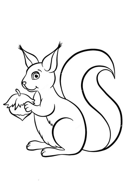 Белочка рисунок раскраска