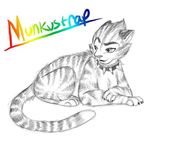 Мюзикл кошки рисунок карандашом