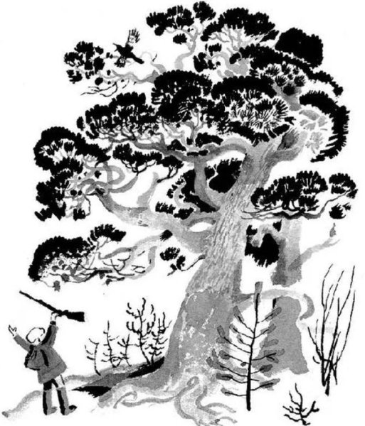 Иллюстрации к рассказу Астафьева Васюткино озеро