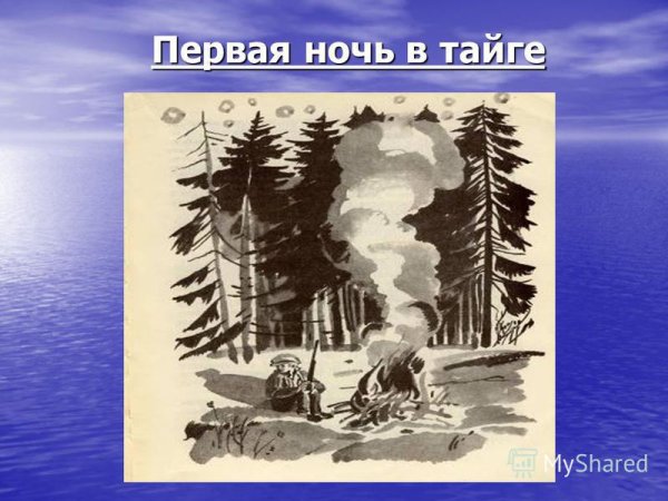 2 Иллюстрации к рассказу Васюткино озеро
