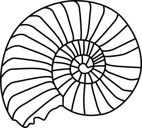 Спираль рисунок