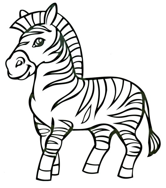 Зебра раскраска для малышей