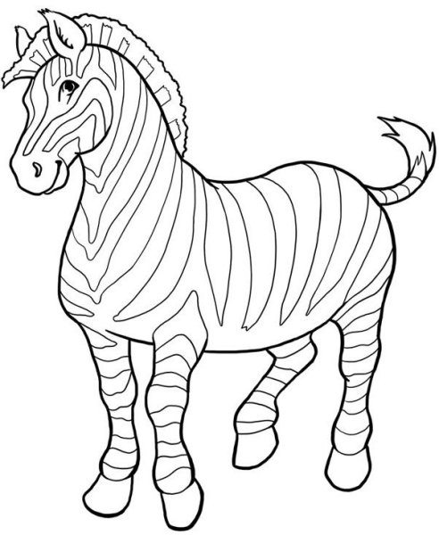 Зебра рисунок