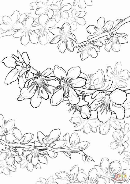 Цветы на ветке рисование