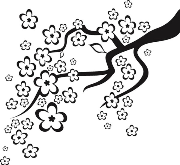 Ветка Сакуры раскраска для детей