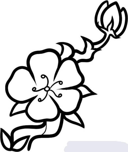 Цветы для срисовки лёгкие