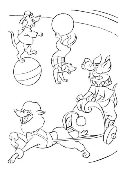 Цирк раскраска для детей