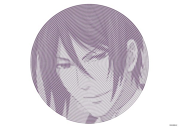 Spiroglyphics БТС