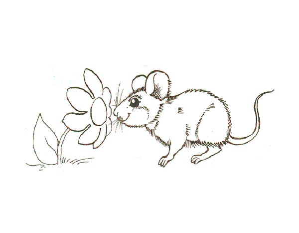 Мышонок раскраска