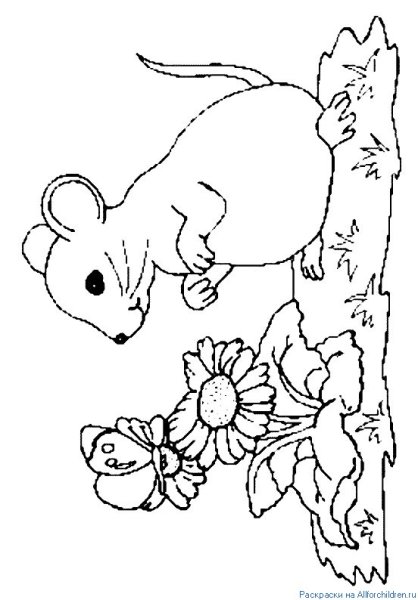 Раскраска Лесная мышка