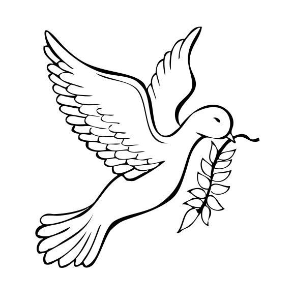 Голубь мира шаблон