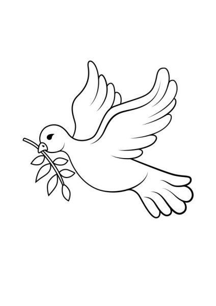 Голубь мира рисунок раскраска