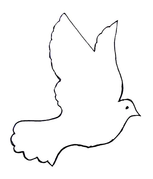 Голубь шаблон