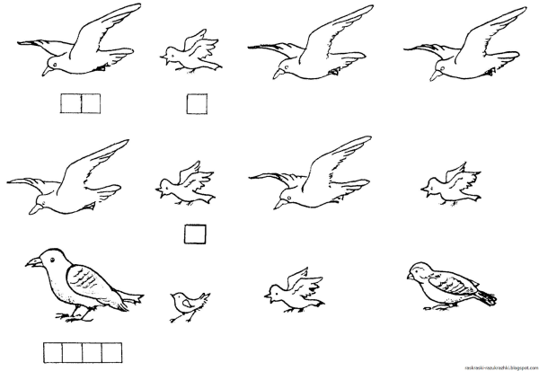 Перелетные птицы раскраска для детей