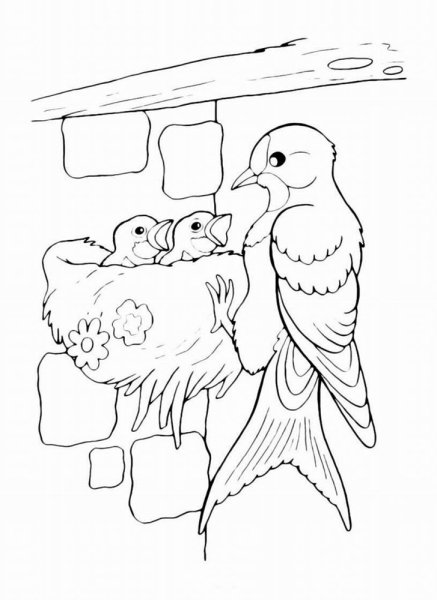 Картинки птиц с названиями